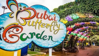 Combo : Miracle Garden Dubai & Butterfly Garden